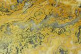 Polished, Crazy Lace Agate Slab - Western Australia #132930-1